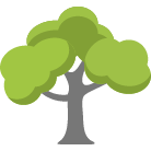 Midlothian Tree Removal