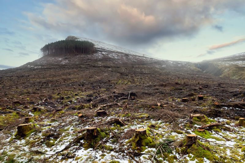 Seasonal Landscape Impact
